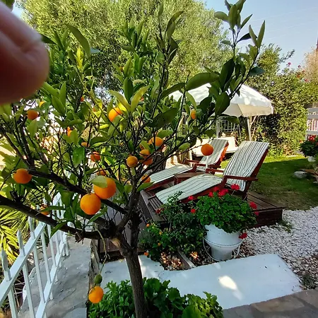 Nikos Stone House 80M From The Beach With Wifi Gerakini Dış mekan fotoğraf