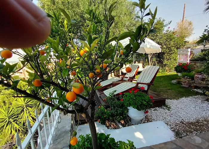 Nikos Stone House 80M From The Beach With Wifi