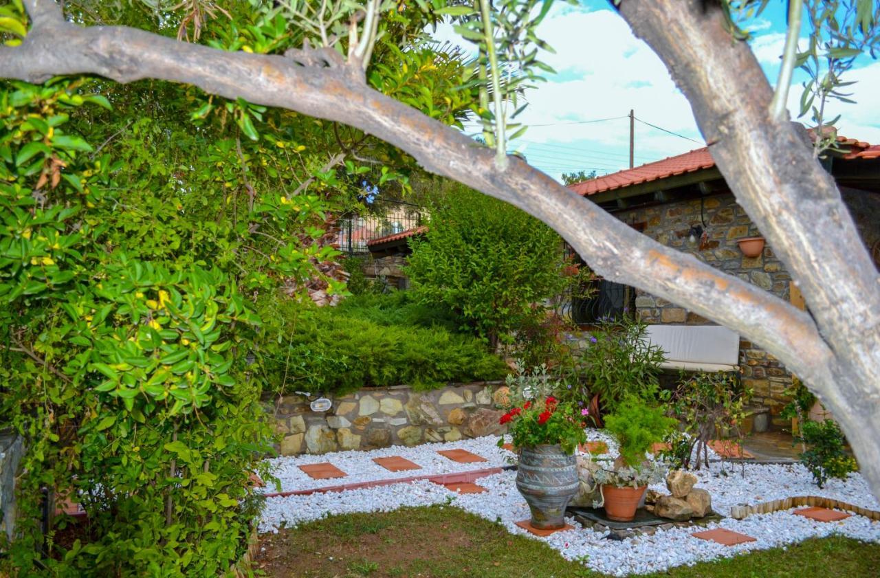 Nikos Stone House 80m From The With Wifi Holiday home *