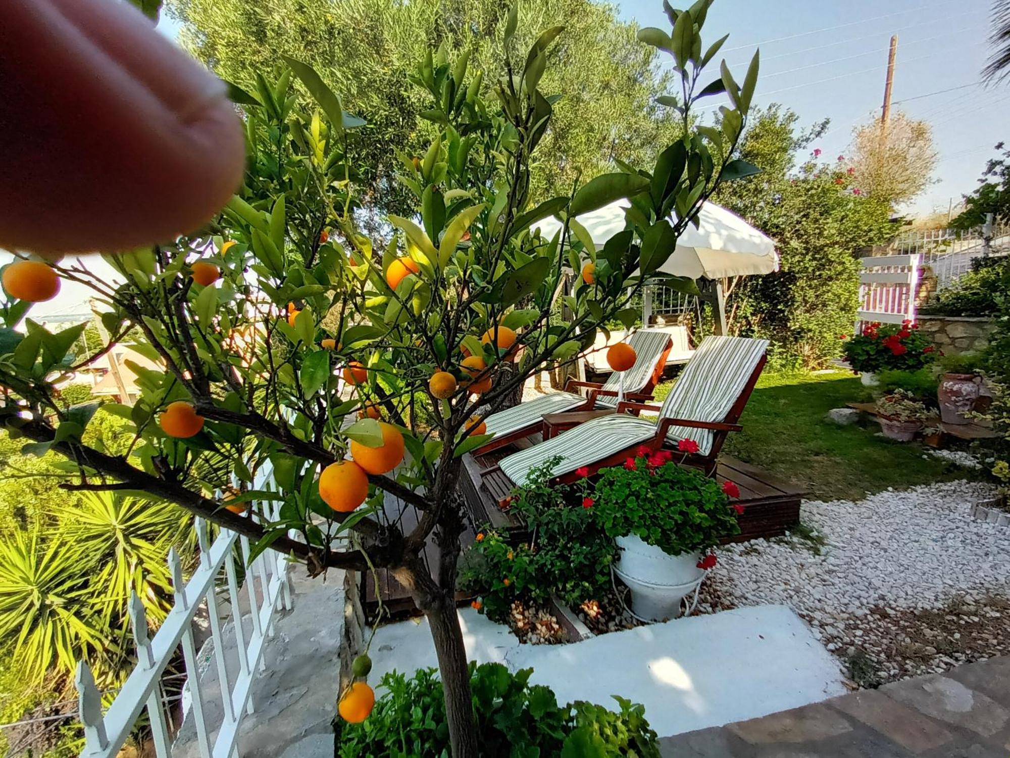 Nikos Stone House 80m From The With Wifi Holiday home Gerakini
